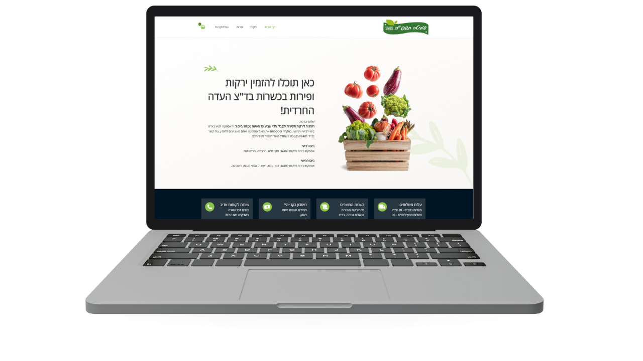 דוגמה לבניית אתר